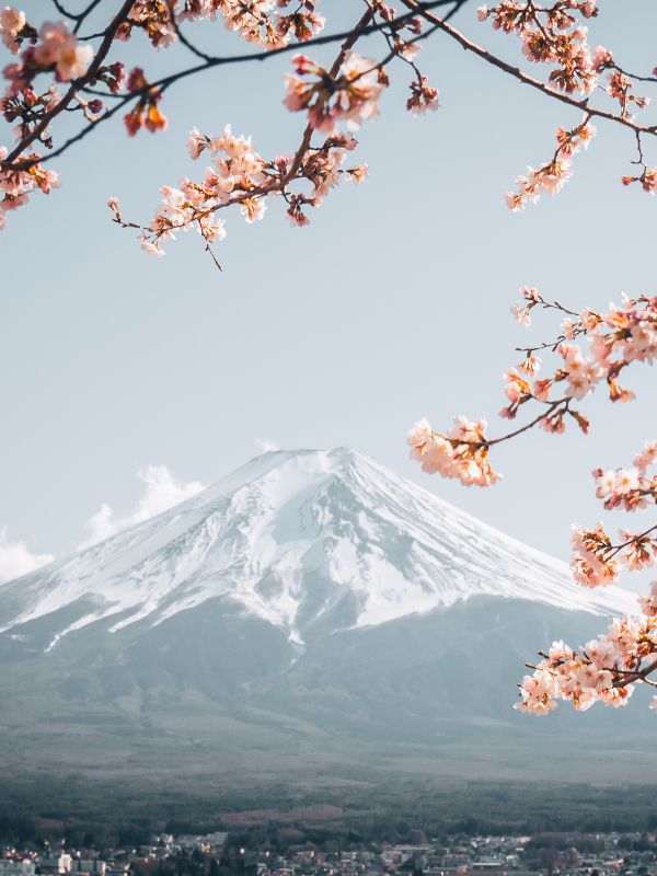 Fuji Mountain