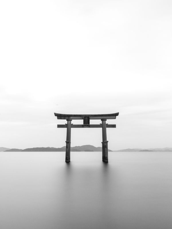 Torii Gate